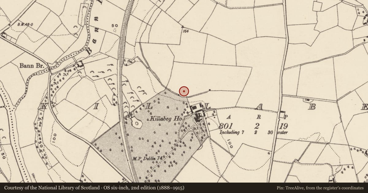 Ordnance Survey six-inch map, 2nd edition (1888–1915) covering the location of Concentric enclosure, Killabeg, County Wexford, with a pin at the register's coordinates