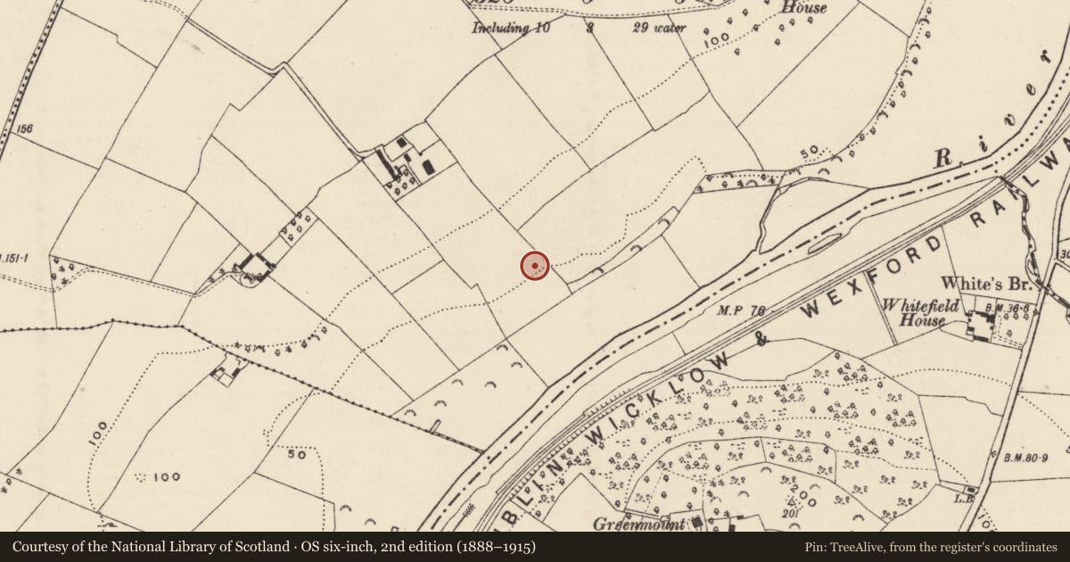 Ordnance Survey six-inch map, 2nd edition (1888–1915) covering the location of Enclosure, Kilcannon, County Wexford, with a pin at the register's coordinates