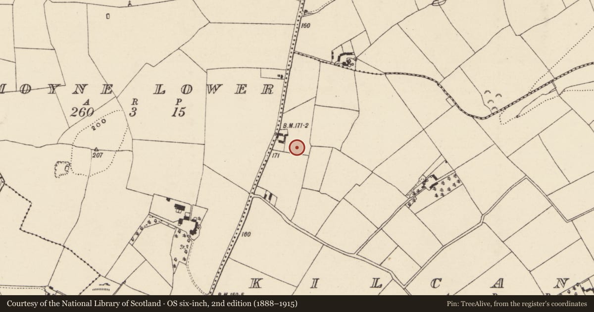 Ordnance Survey six-inch map, 2nd edition (1888–1915) covering the location of Enclosure - large enclosure, Kilcannon, County Wexford, with a pin at the register's coordinates