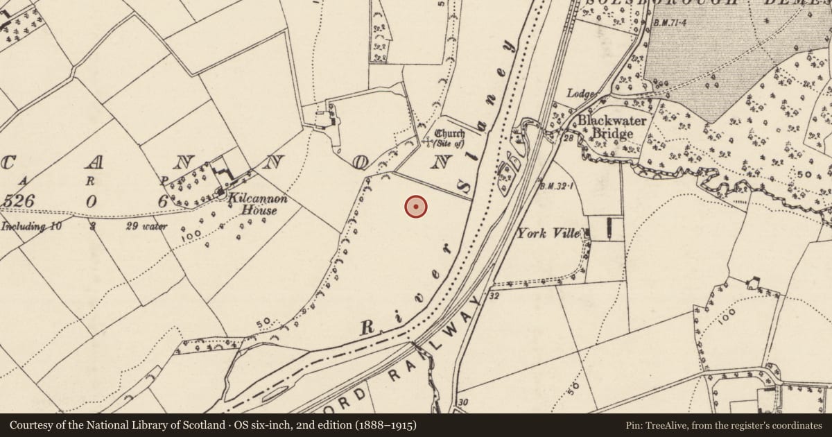 Ordnance Survey six-inch map, 2nd edition (1888–1915) covering the location of Ring-ditch, Kilcannon, County Wexford, with a pin at the register's coordinates