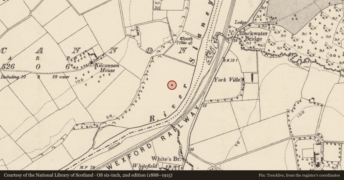 Ordnance Survey six-inch map, 2nd edition (1888–1915) covering the location of Ring-ditch, Kilcannon, County Wexford, with a pin at the register's coordinates
