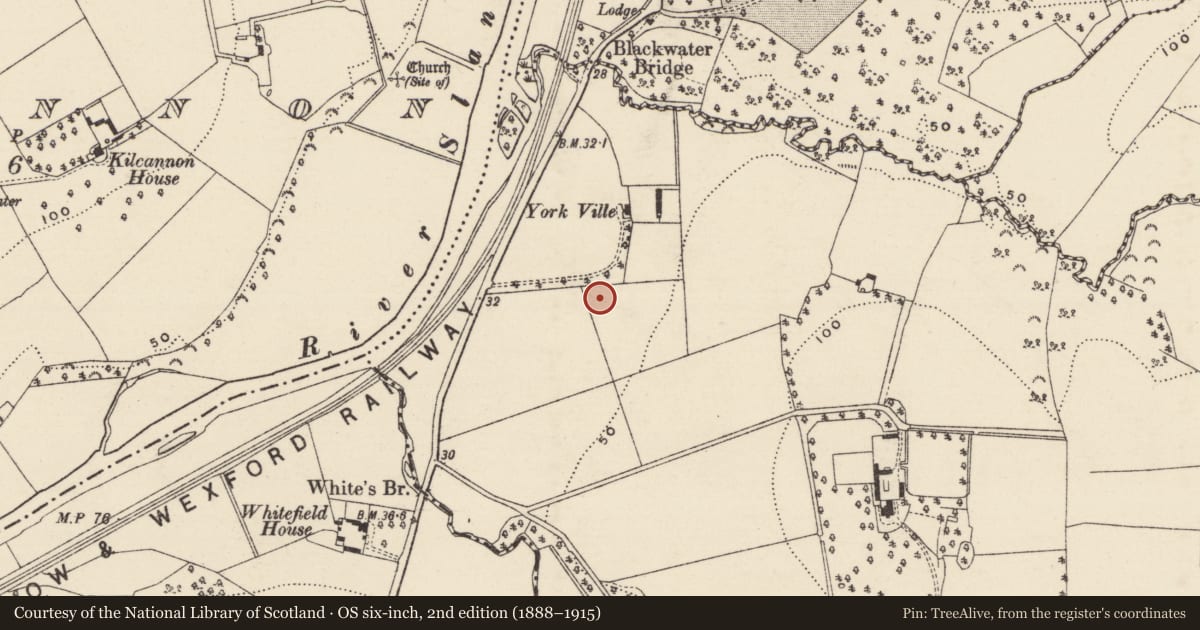 Ordnance Survey six-inch map, 2nd edition (1888–1915) covering the location of Ring-ditch, Ballynabarny, County Wexford, with a pin at the register's coordinates