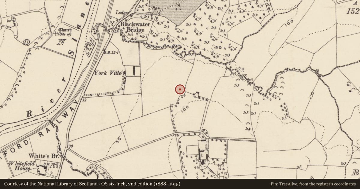 Ordnance Survey six-inch map, 2nd edition (1888–1915) covering the location of Enclosure, Ballynabarny, County Wexford, with a pin at the register's coordinates