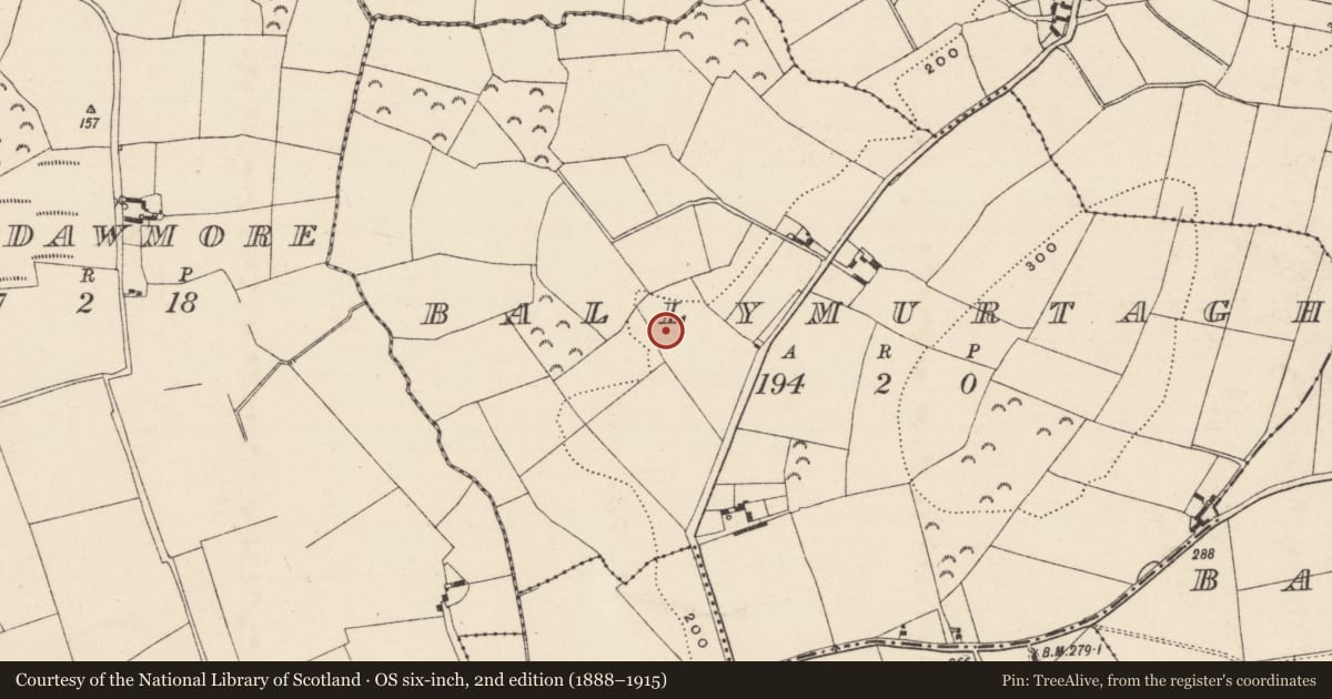 Ordnance Survey six-inch map, 2nd edition (1888–1915) covering the location of Moated site, Ballymurtagh, County Wexford, with a pin at the register's coordinates