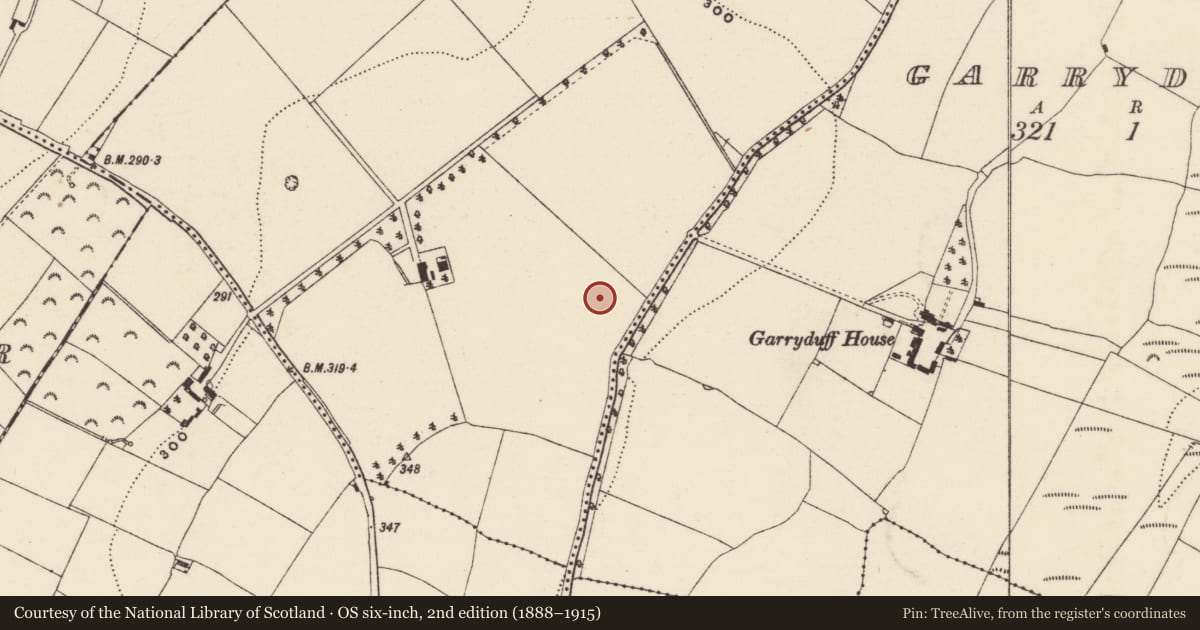 Ordnance Survey six-inch map, 2nd edition (1888–1915) covering the location of Enclosure, Grange, County Wexford, with a pin at the register's coordinates