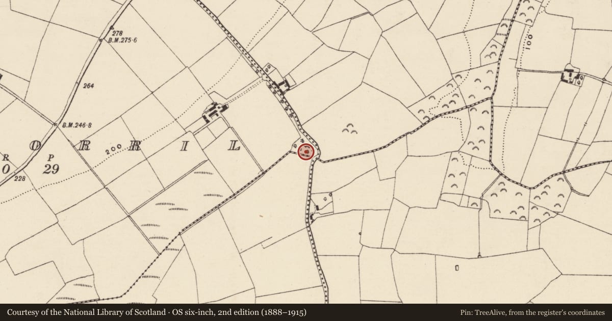 Ordnance Survey six-inch map, 2nd edition (1888–1915) covering the location of Excavation - miscellaneous, Ballyorrill, Moyne Middle, County Wexford, with a pin at the register's coordinates