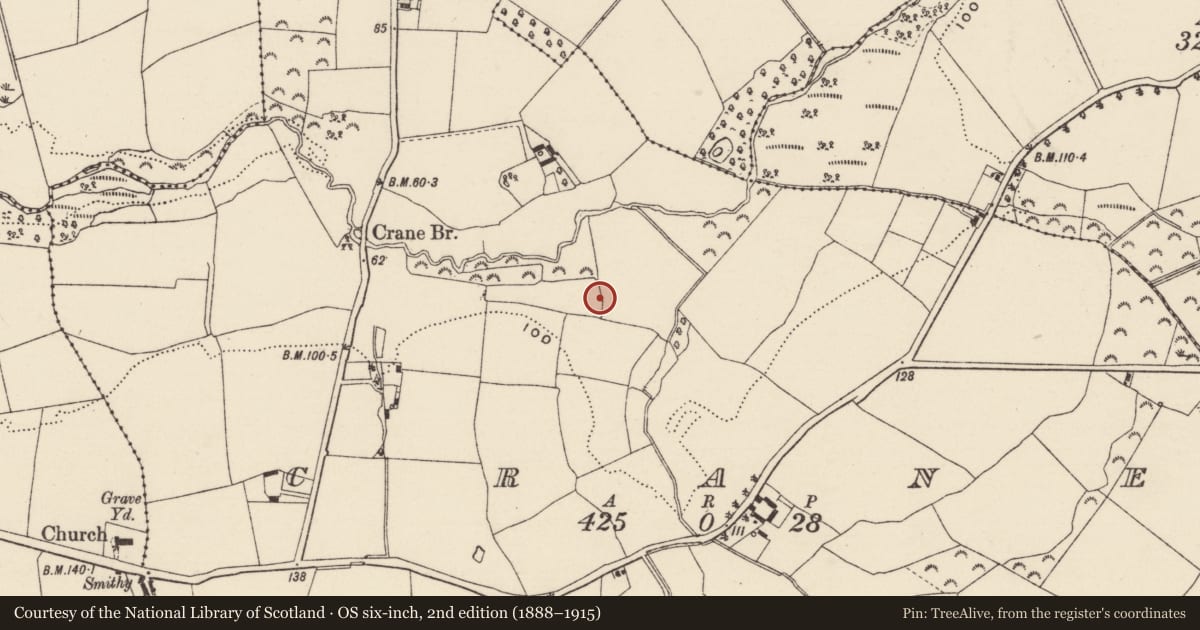 Ordnance Survey six-inch map, 2nd edition (1888–1915) covering the location of Pit, Crane, County Wexford, with a pin at the register's coordinates