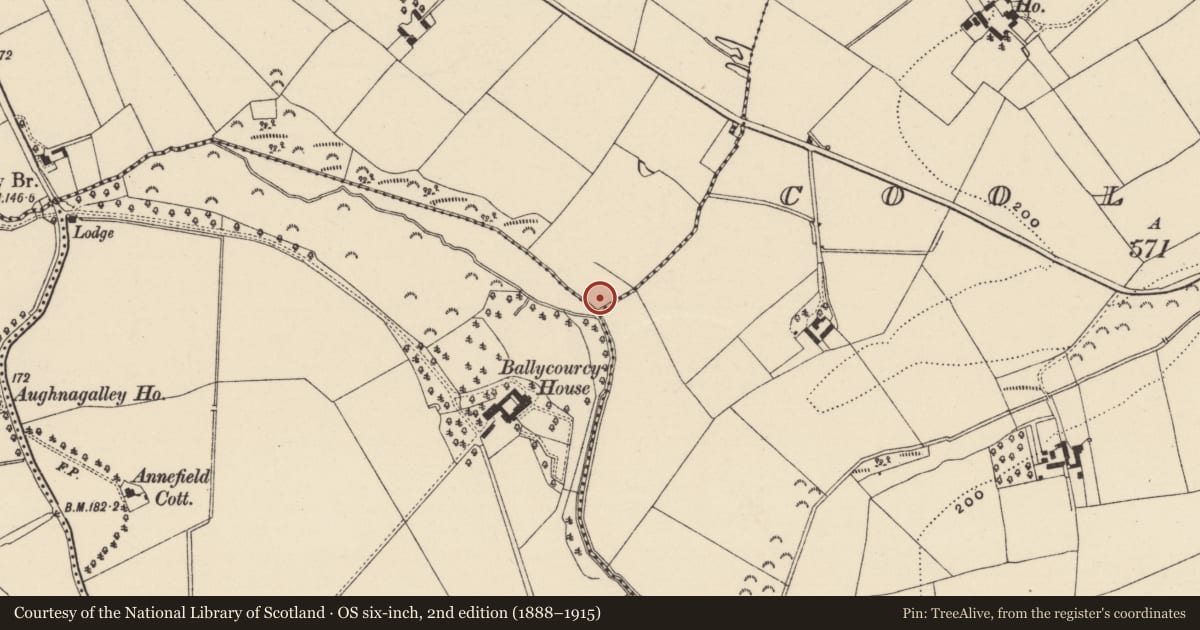 Ordnance Survey six-inch map, 2nd edition (1888–1915) covering the location of Burnt mound, Drumgold, County Wexford, with a pin at the register's coordinates