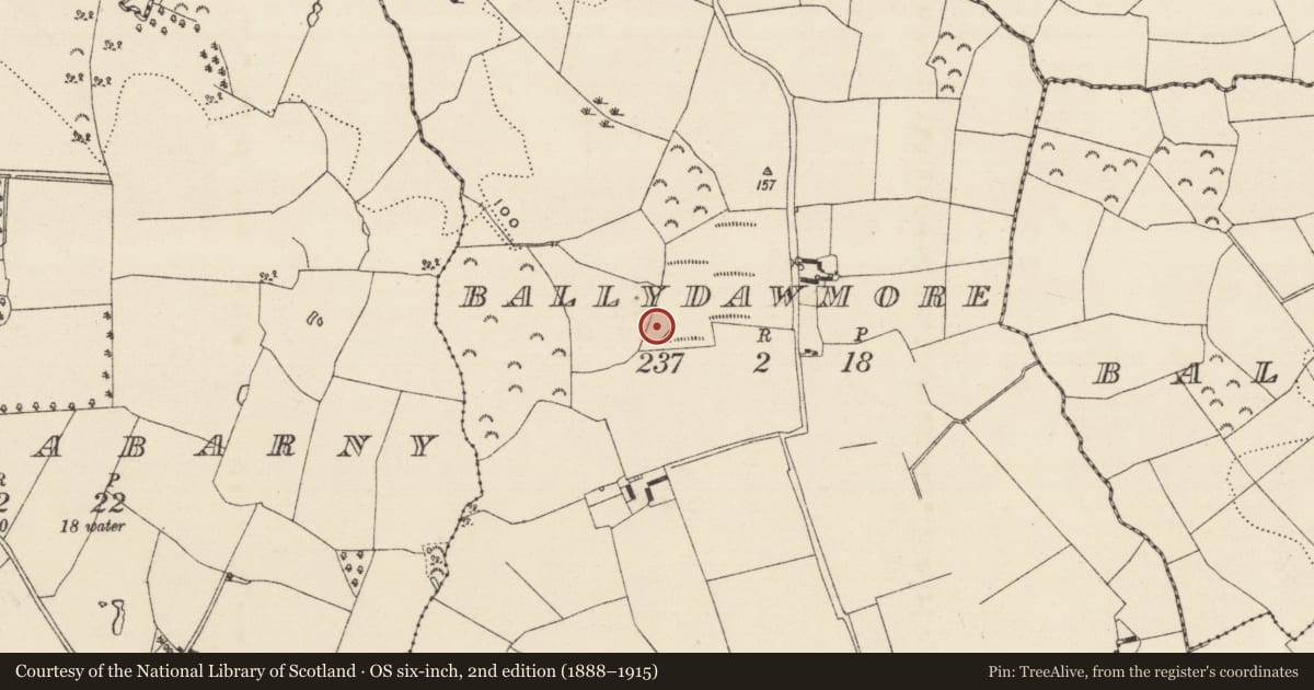 Ordnance Survey six-inch map, 2nd edition (1888–1915) covering the location of Burnt mound, Ballydawmore, County Wexford, with a pin at the register's coordinates