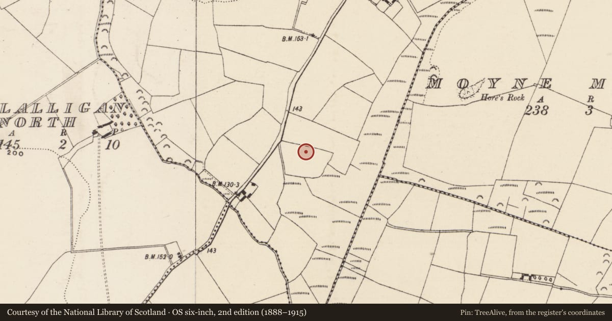 Ordnance Survey six-inch map, 2nd edition (1888–1915) covering the location of Excavation - miscellaneous, Ballyorrill, County Wexford, with a pin at the register's coordinates