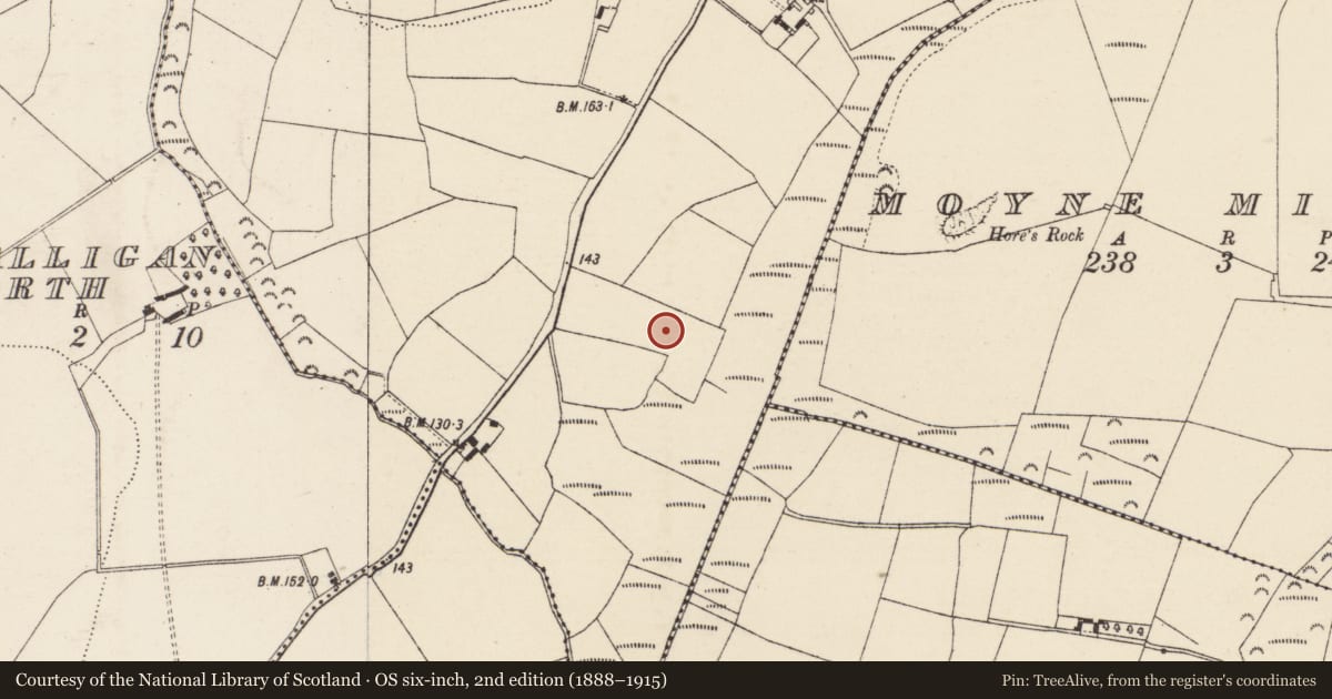 Ordnance Survey six-inch map, 2nd edition (1888–1915) covering the location of Fulacht fia, Ballyorrill, County Wexford, with a pin at the register's coordinates