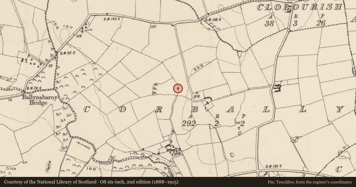 Ordnance Survey six-inch map, 2nd edition (1888–1915) covering the location of Burnt mound, Corbally, County Wexford, with a pin at the register's coordinates