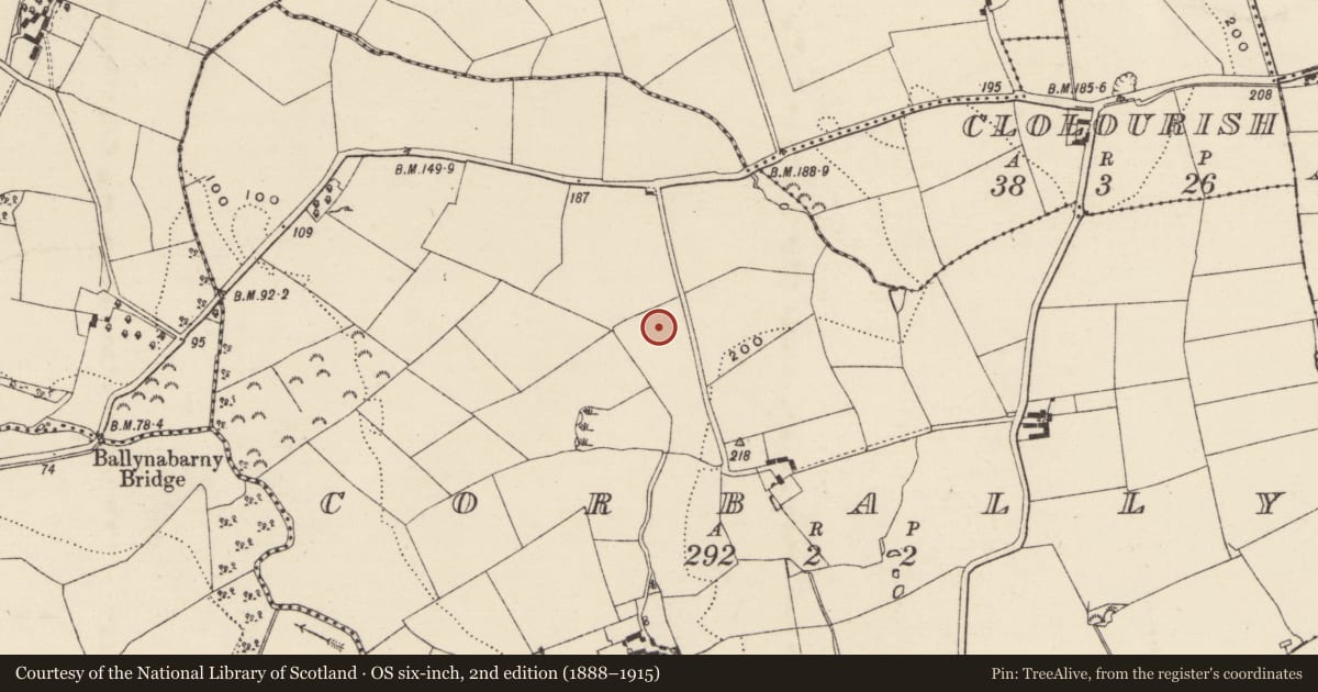 Ordnance Survey six-inch map, 2nd edition (1888–1915) covering the location of Kiln, Corbally, County Wexford, with a pin at the register's coordinates