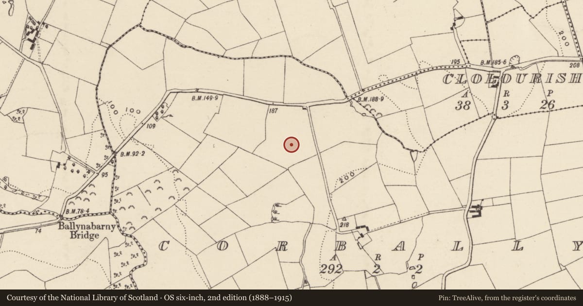 Ordnance Survey six-inch map, 2nd edition (1888–1915) covering the location of Kiln, Corbally, County Wexford, with a pin at the register's coordinates