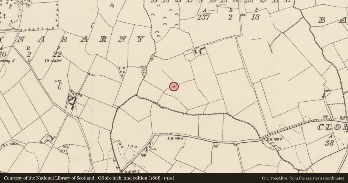 Ordnance Survey six-inch map, 2nd edition (1888–1915) covering the location of Fulacht fia, Ballydawmore, County Wexford, with a pin at the register's coordinates