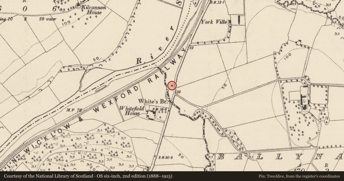 Ordnance Survey six-inch map, 2nd edition (1888–1915) covering the location of Fulacht fia, Ballynabarny, County Wexford, with a pin at the register's coordinates