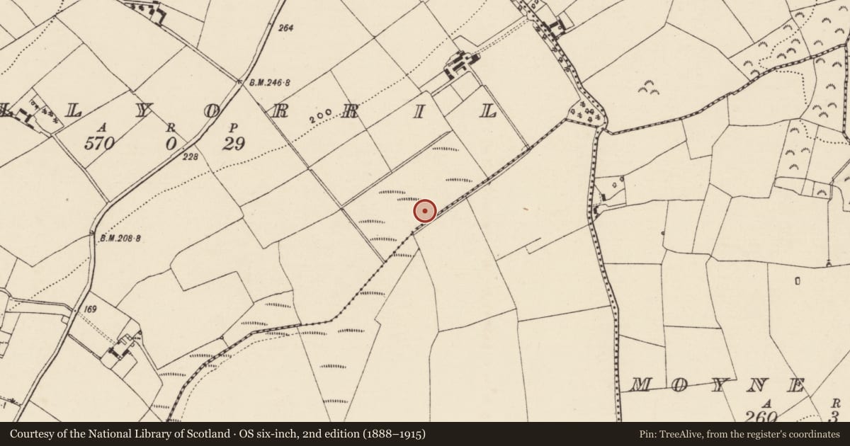 Ordnance Survey six-inch map, 2nd edition (1888–1915) covering the location of Fulacht fia, Ballyorrill, County Wexford, with a pin at the register's coordinates