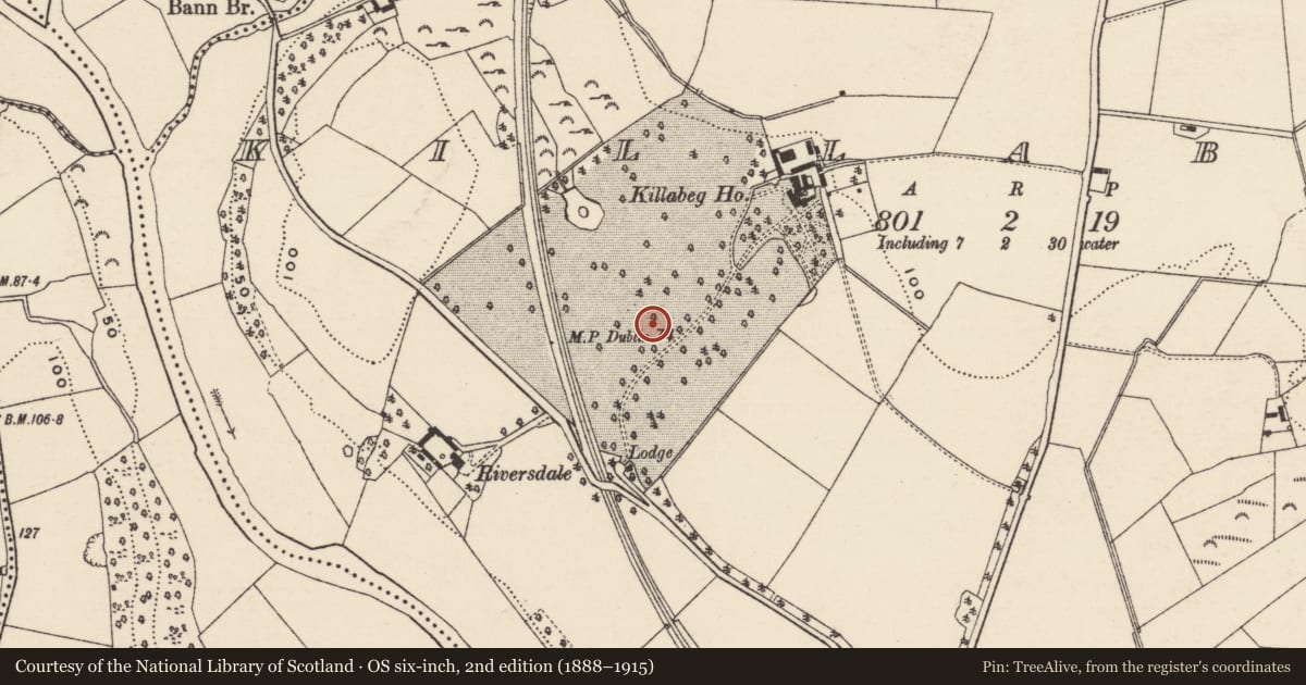 Ordnance Survey six-inch map, 2nd edition (1888–1915) covering the location of Ring-ditch, Killabeg, County Wexford, with a pin at the register's coordinates