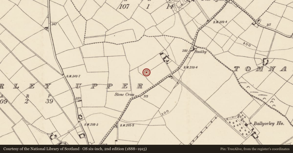 Ordnance Survey six-inch map, 2nd edition (1888–1915) covering the location of Castle - ringwork, Ballyorley Upper, County Wexford, with a pin at the register's coordinates