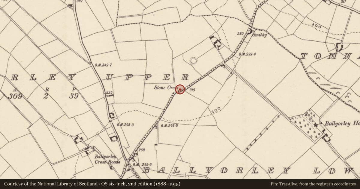 Ordnance Survey six-inch map, 2nd edition (1888–1915) covering the location of Cross, Ballyorley Upper, County Wexford, with a pin at the register's coordinates