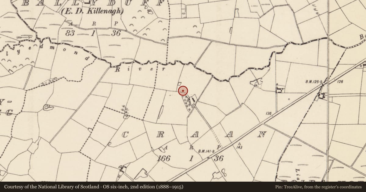 Ordnance Survey six-inch map, 2nd edition (1888–1915) covering the location of Enclosure, Craan, County Wexford, with a pin at the register's coordinates