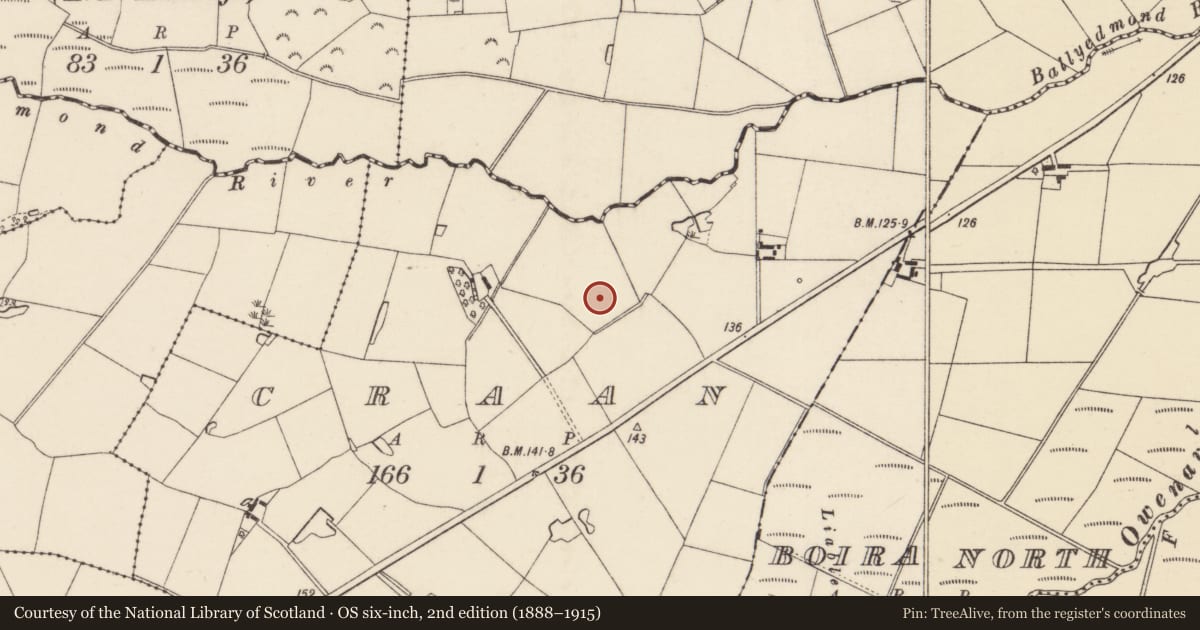 Ordnance Survey six-inch map, 2nd edition (1888–1915) covering the location of Enclosure, Craan, County Wexford, with a pin at the register's coordinates