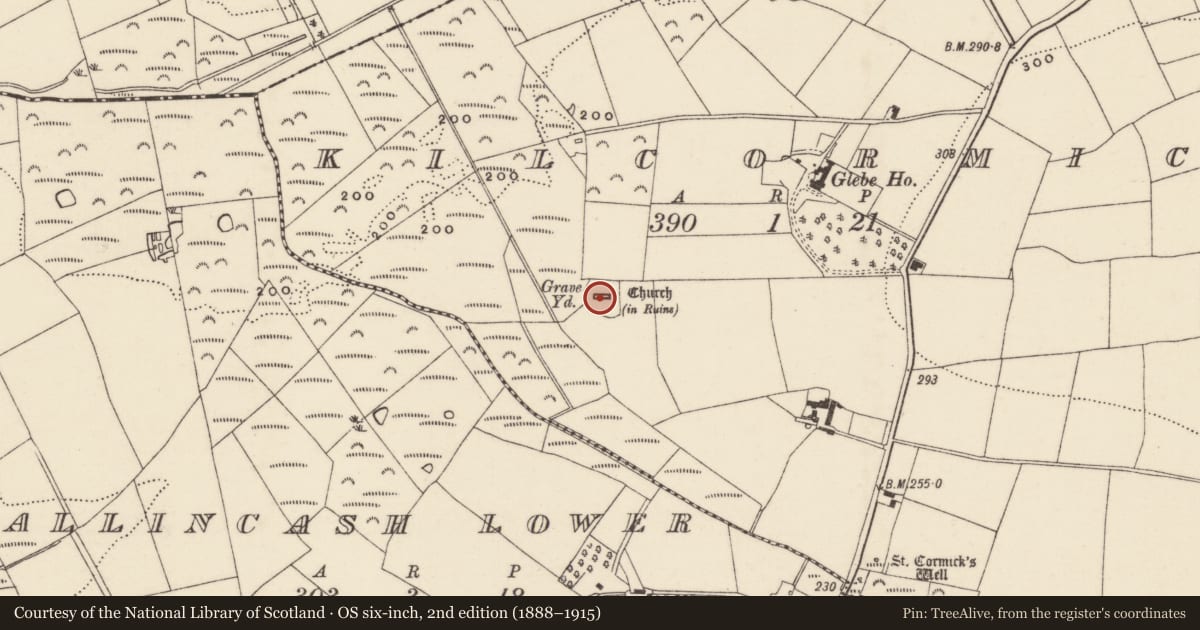 Ordnance Survey six-inch map, 2nd edition (1888–1915) covering the location of Church, Kilcormick, County Wexford, with a pin at the register's coordinates