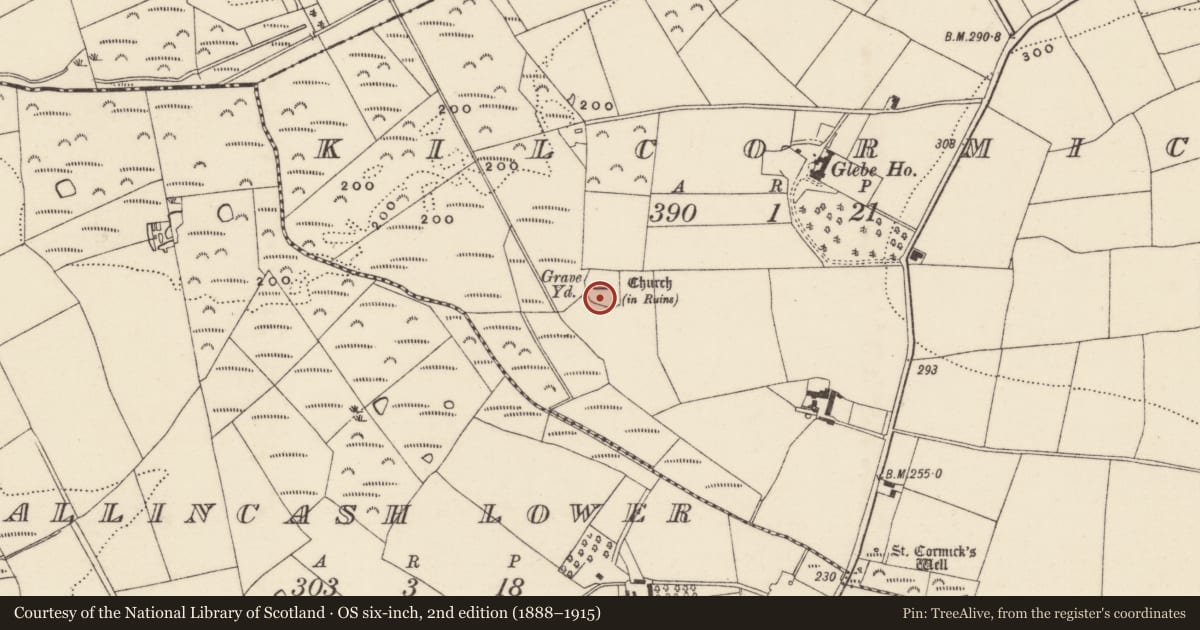 Ordnance Survey six-inch map, 2nd edition (1888–1915) covering the location of Graveyard, Kilcormick, County Wexford, with a pin at the register's coordinates