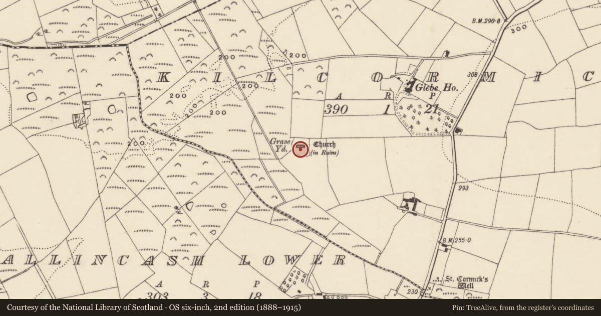 Ordnance Survey six-inch map, 2nd edition (1888–1915) covering the location of Bullaun stone, Kilcormick, County Wexford, with a pin at the register's coordinates