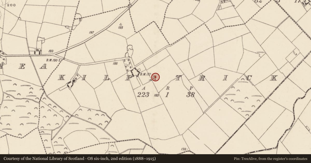 Ordnance Survey six-inch map, 2nd edition (1888–1915) covering the location of Church, Kilpatrick, County Wexford, with a pin at the register's coordinates