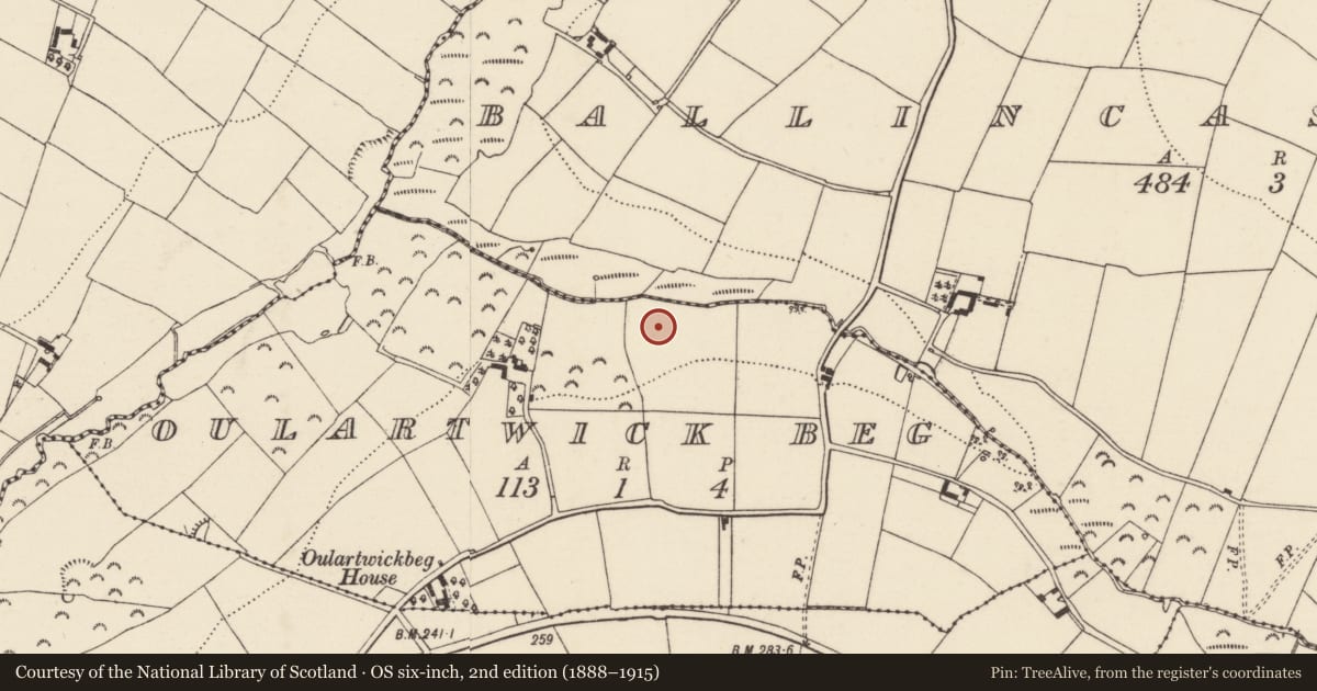 Ordnance Survey six-inch map, 2nd edition (1888–1915) covering the location of Moated site, Oulartwick Beg, County Wexford, with a pin at the register's coordinates