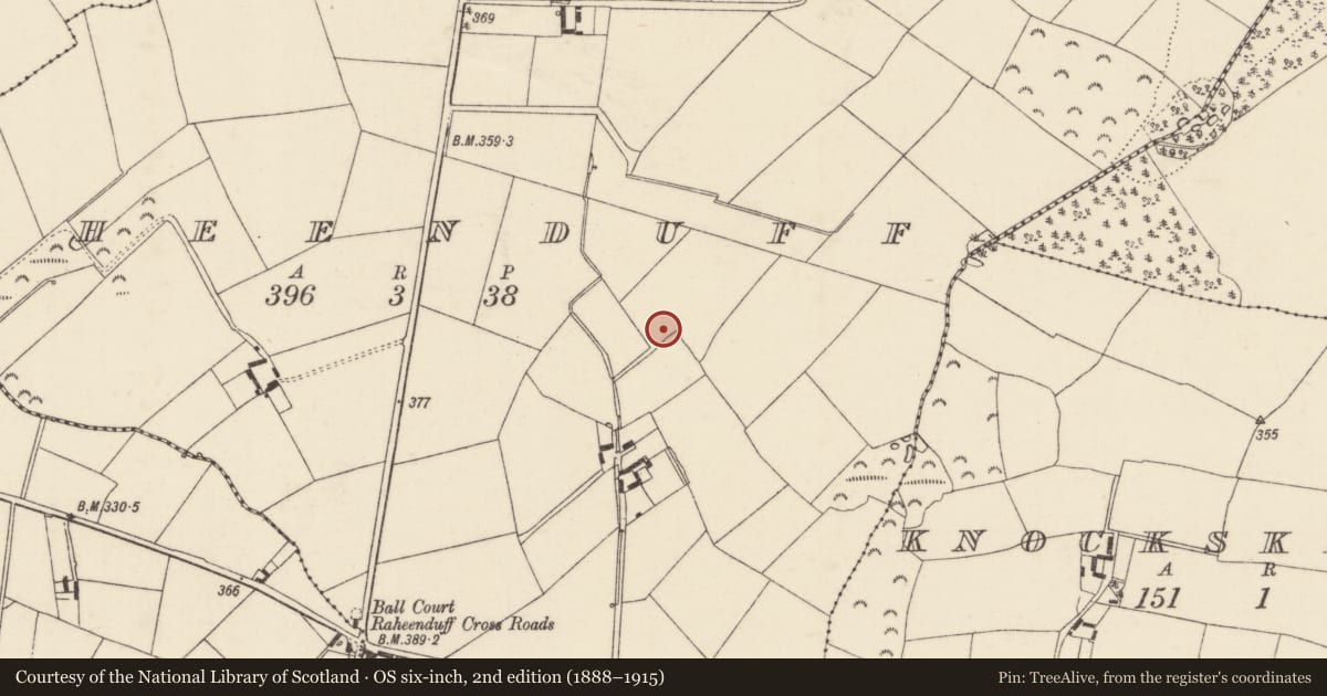 Ordnance Survey six-inch map, 2nd edition (1888–1915) covering the location of Ringfort - unclassified, Raheenduff, County Wexford, with a pin at the register's coordinates