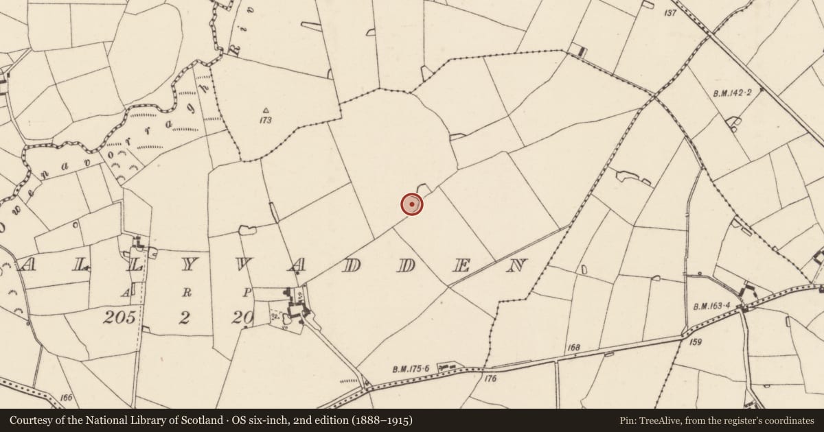 Ordnance Survey six-inch map, 2nd edition (1888–1915) covering the location of Ringfort - rath, Ballyvadden, County Wexford, with a pin at the register's coordinates