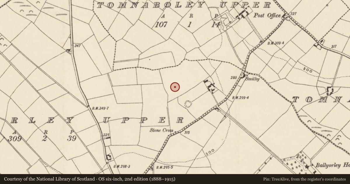 Ordnance Survey six-inch map, 2nd edition (1888–1915) covering the location of Ecclesiastical enclosure, Ballyorley Upper, County Wexford, with a pin at the register's coordinates