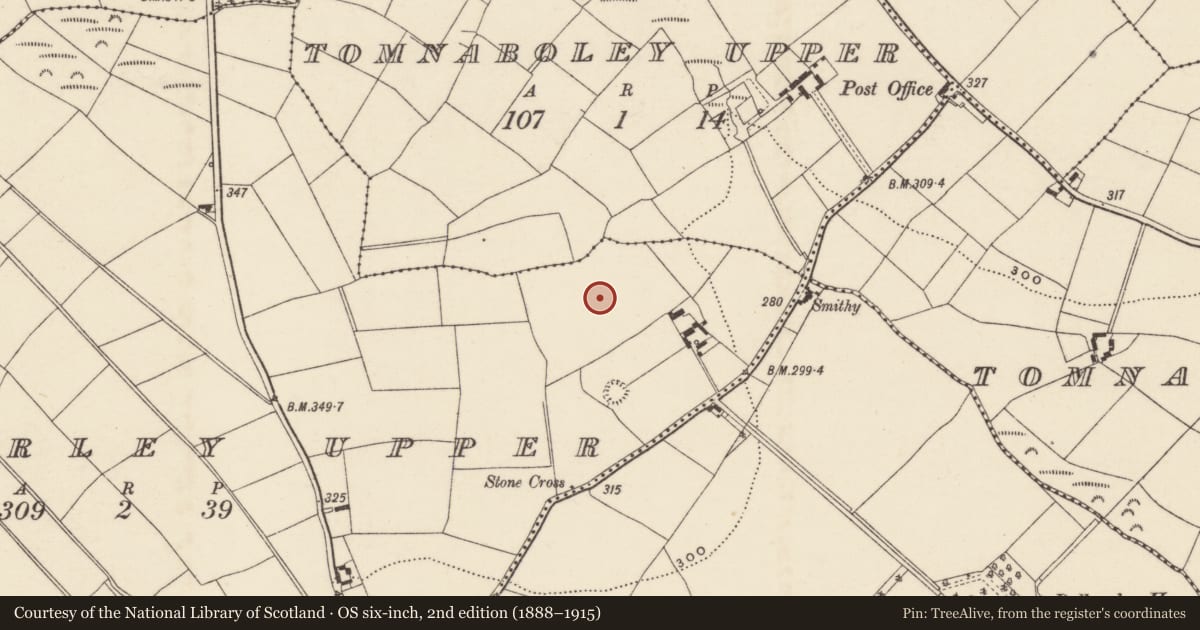 Ordnance Survey six-inch map, 2nd edition (1888–1915) covering the location of Field system, Ballyorley Upper, County Wexford, with a pin at the register's coordinates