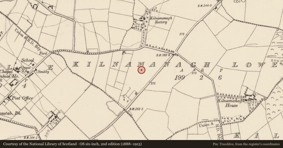 Ordnance Survey six-inch map, 2nd edition (1888–1915) covering the location of Ringfort - rath, Kilnamanagh Lower, County Wexford, with a pin at the register's coordinates