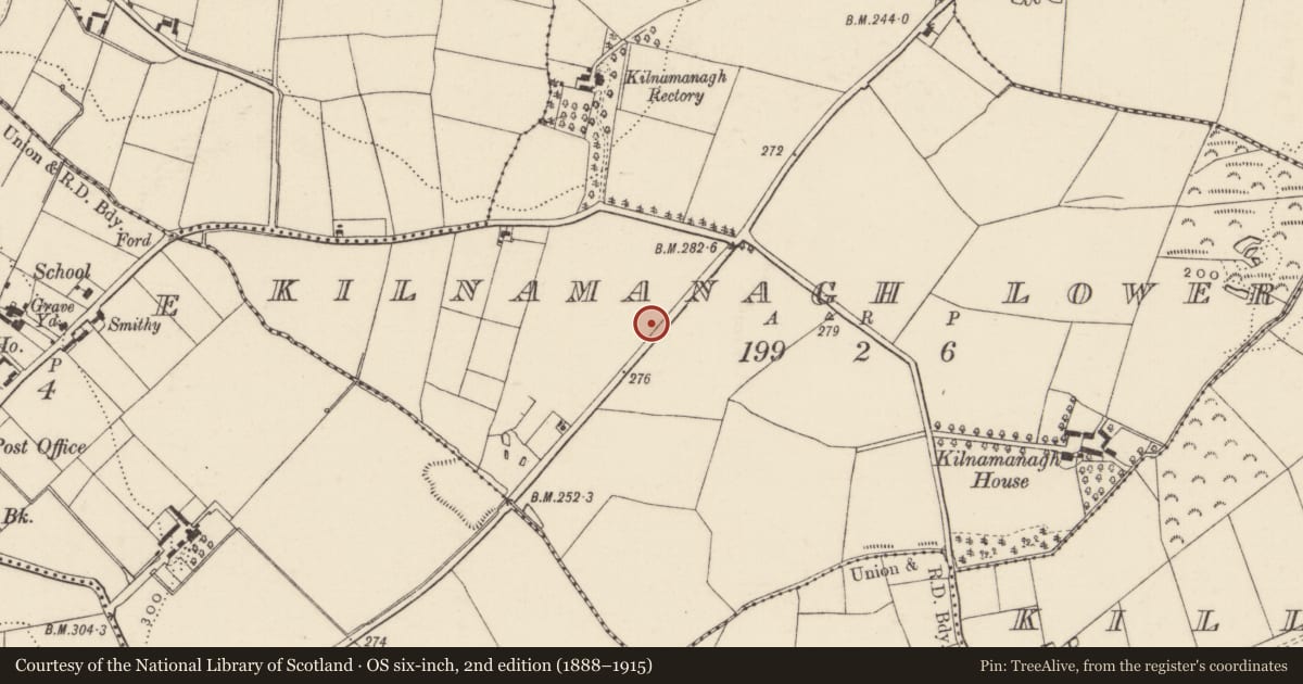 Ordnance Survey six-inch map, 2nd edition (1888–1915) covering the location of Ringfort - rath, Kilnamanagh Lower, County Wexford, with a pin at the register's coordinates
