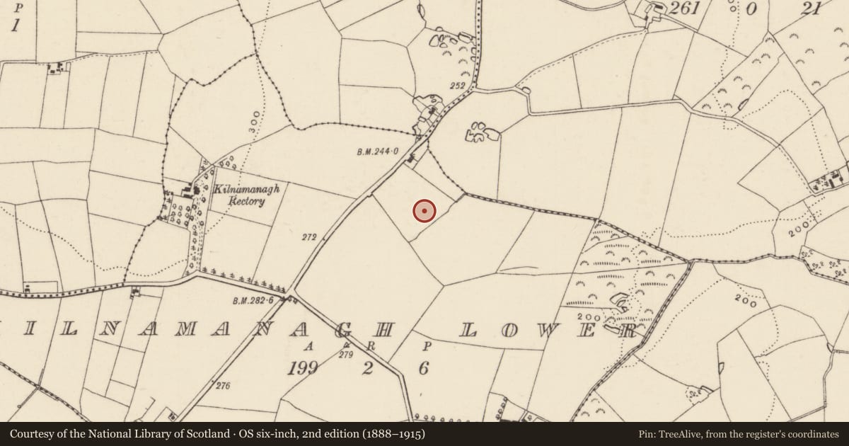 Ordnance Survey six-inch map, 2nd edition (1888–1915) covering the location of Church, Kilnamanagh Lower, County Wexford, with a pin at the register's coordinates