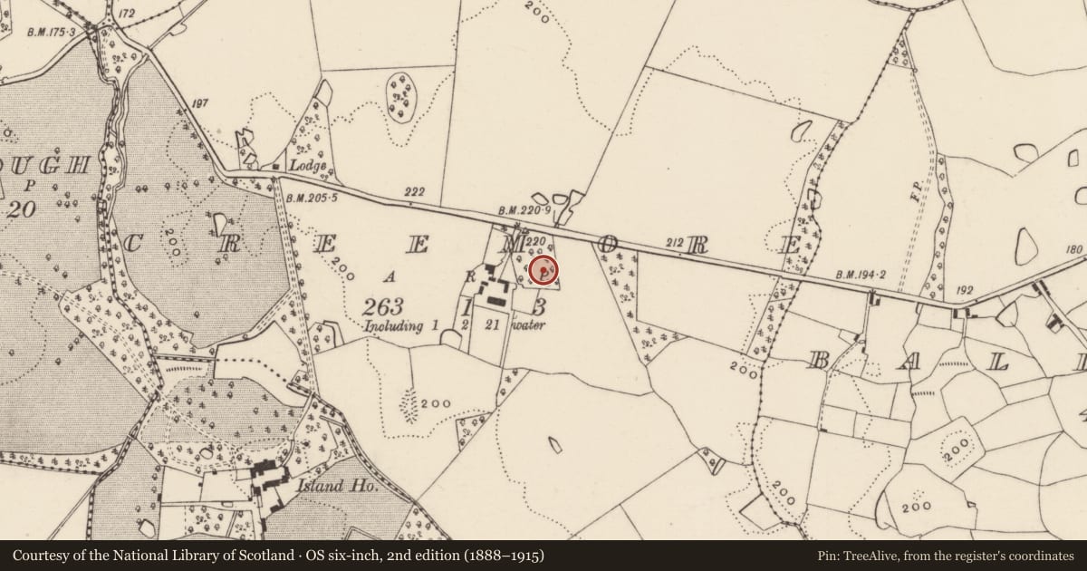Ordnance Survey six-inch map, 2nd edition (1888–1915) covering the location of Moated site, Creemore, County Wexford, with a pin at the register's coordinates