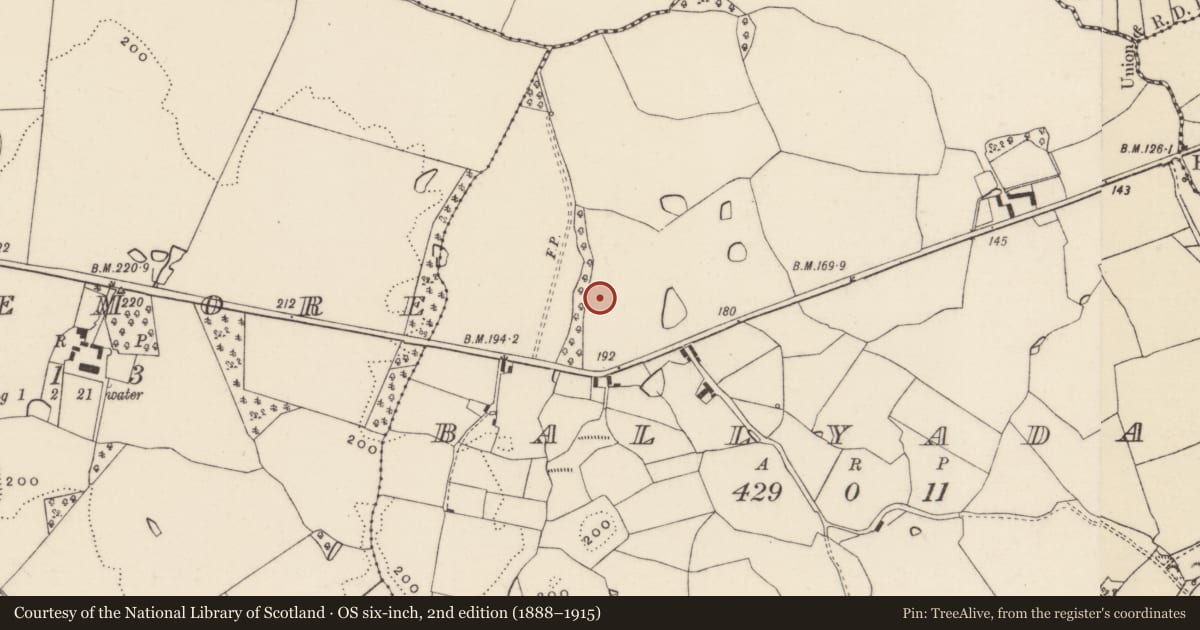 Ordnance Survey six-inch map, 2nd edition (1888–1915) covering the location of Ringfort - unclassified, Ballyadam, County Wexford, with a pin at the register's coordinates