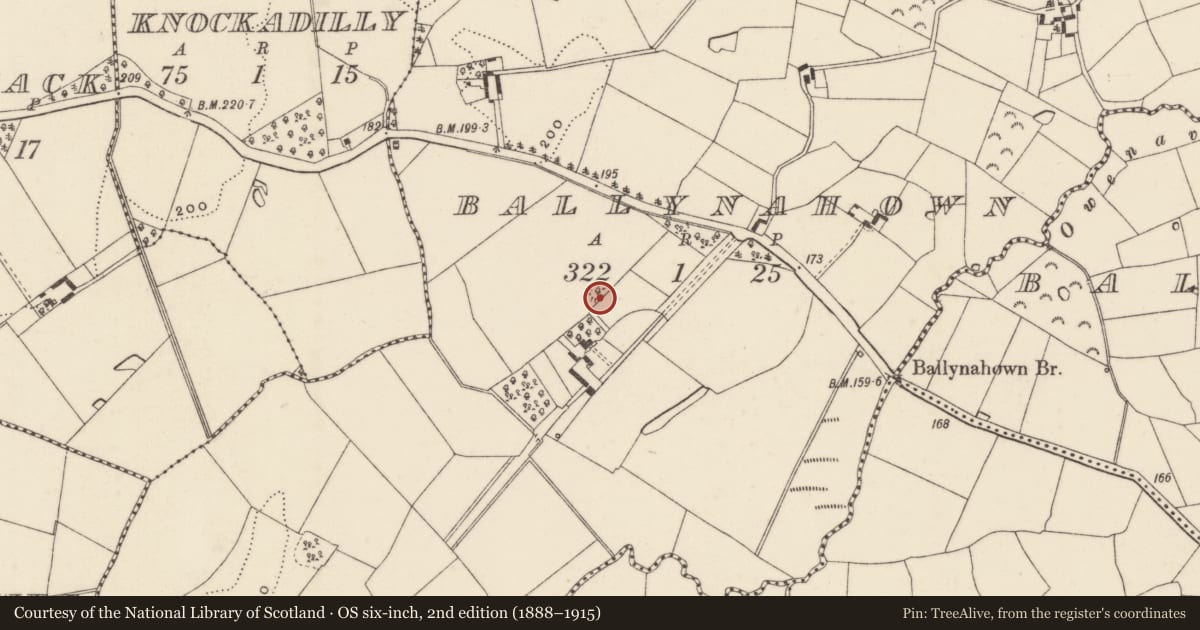 Ordnance Survey six-inch map, 2nd edition (1888–1915) covering the location of Mound, Ballynahown, County Wexford, with a pin at the register's coordinates