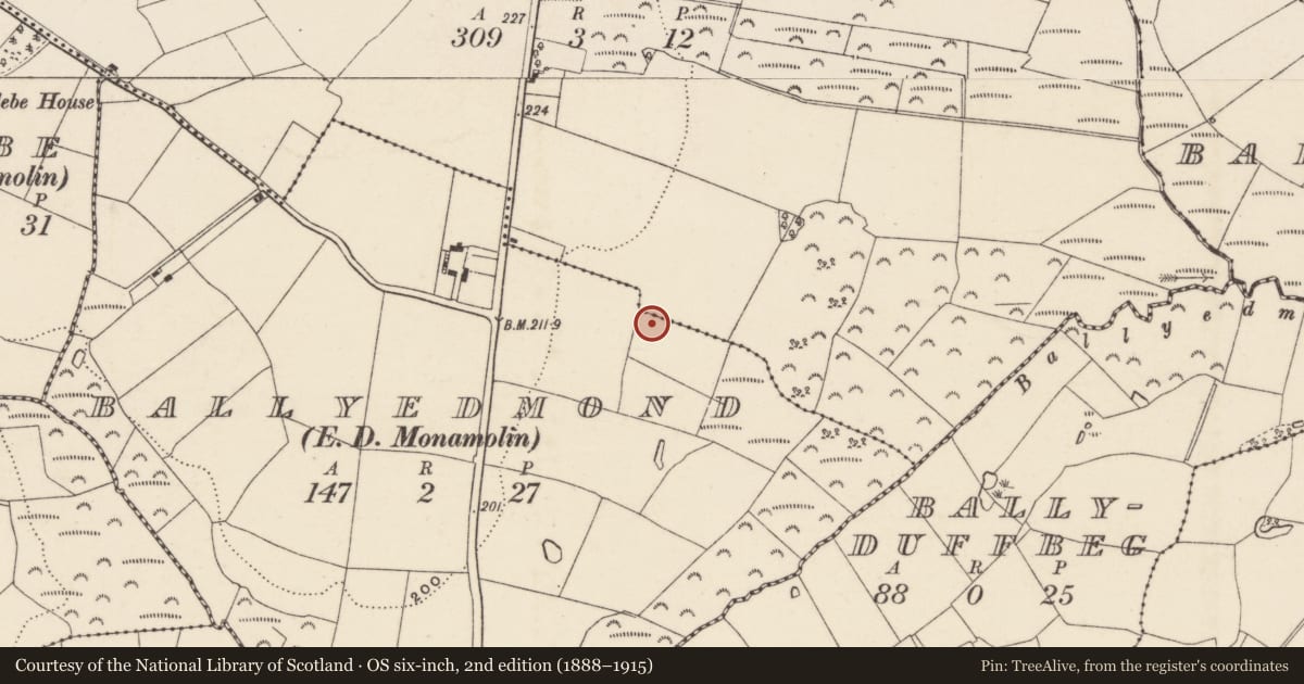 Ordnance Survey six-inch map, 2nd edition (1888–1915) covering the location of Burnt mound, Ballyedmond, County Wexford, with a pin at the register's coordinates