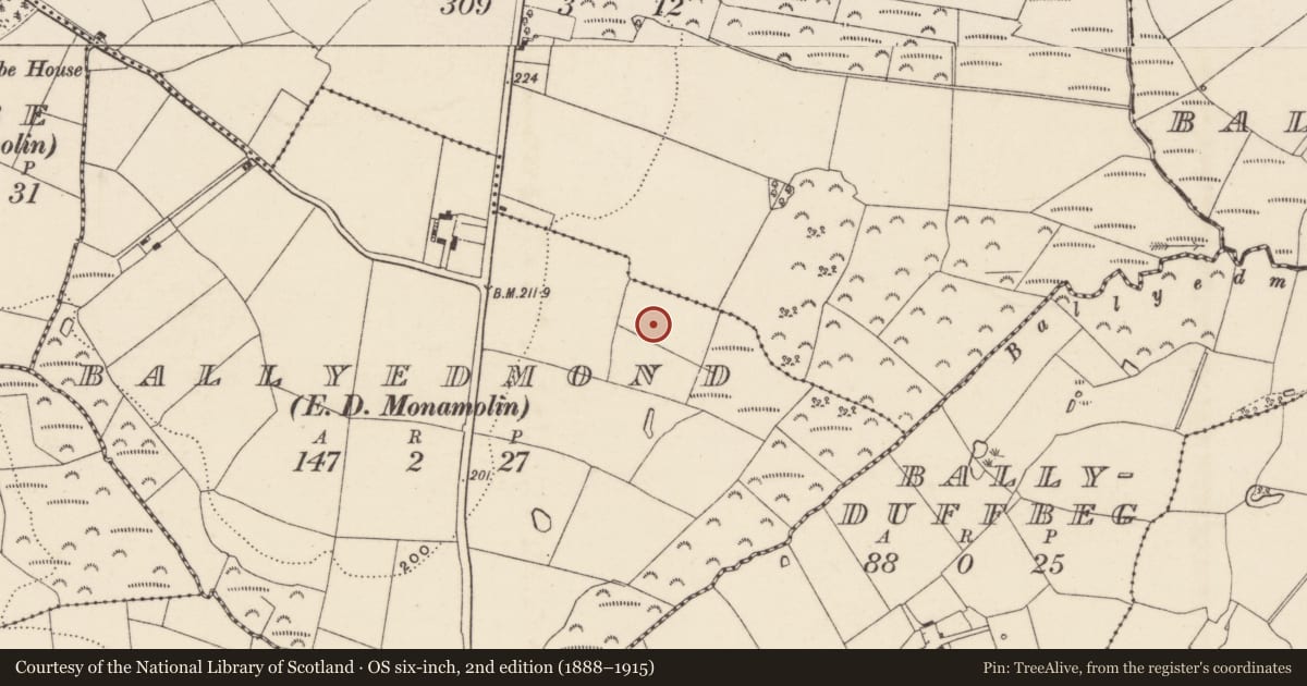 Ordnance Survey six-inch map, 2nd edition (1888–1915) covering the location of Burnt mound, Ballyedmond, County Wexford, with a pin at the register's coordinates