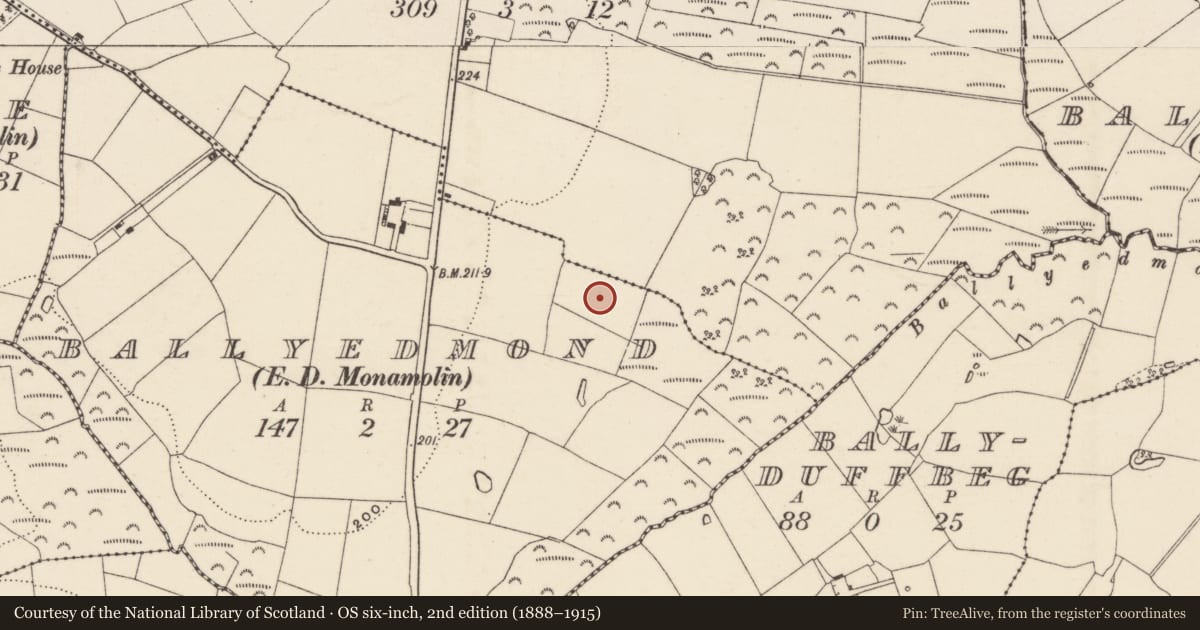 Ordnance Survey six-inch map, 2nd edition (1888–1915) covering the location of Burnt mound, Ballyedmond, County Wexford, with a pin at the register's coordinates