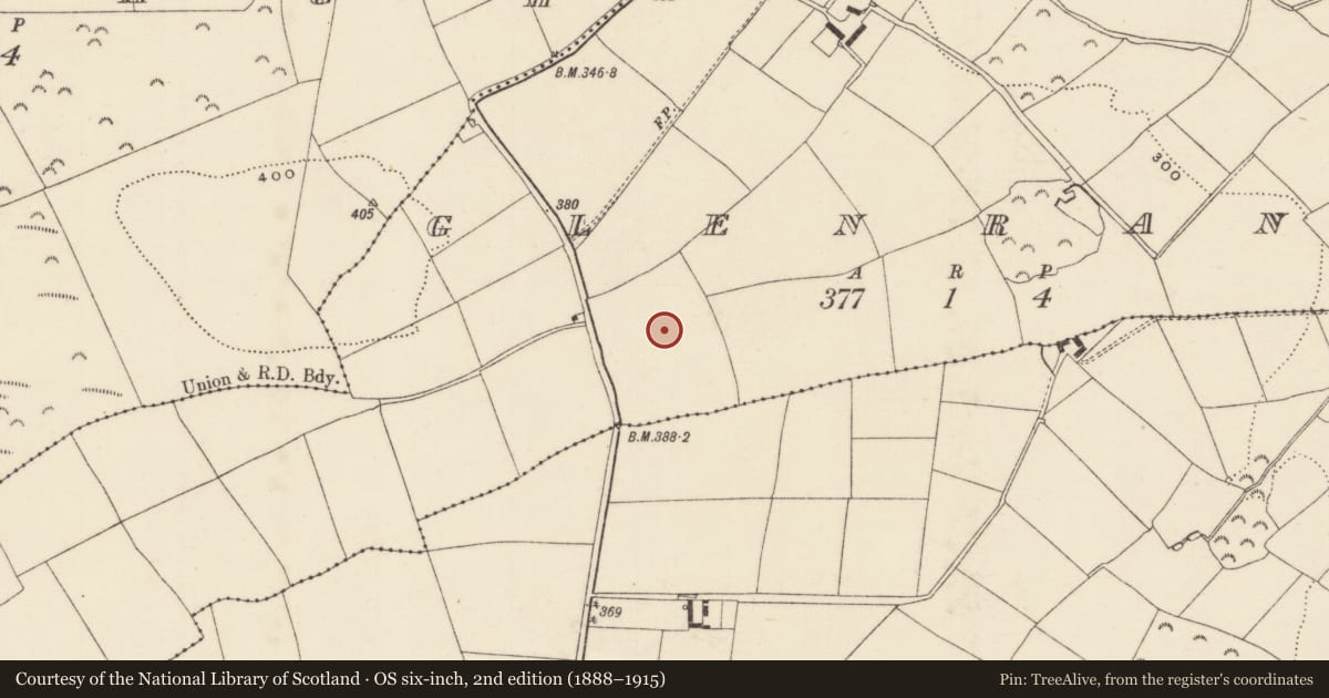 Ordnance Survey six-inch map, 2nd edition (1888–1915) covering the location of Enclosure, Glenranny, County Wexford, with a pin at the register's coordinates