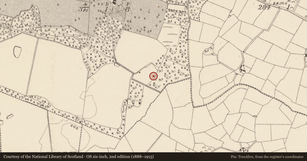Ordnance Survey six-inch map, 2nd edition (1888–1915) covering the location of Ringfort - rath, Wells, County Wexford, with a pin at the register's coordinates