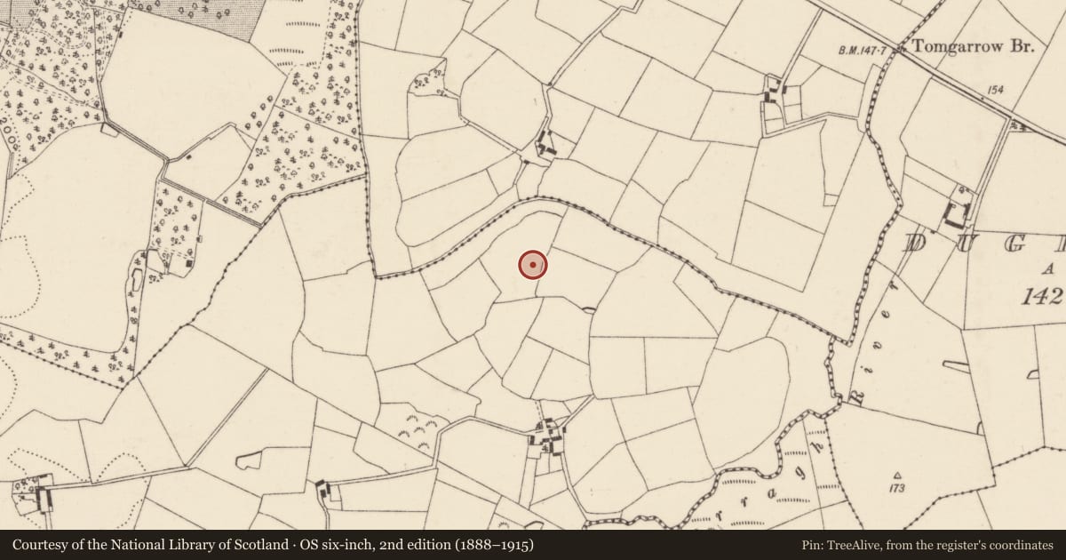 Ordnance Survey six-inch map, 2nd edition (1888–1915) covering the location of Ringfort - rath, Ballynahown, County Wexford, with a pin at the register's coordinates