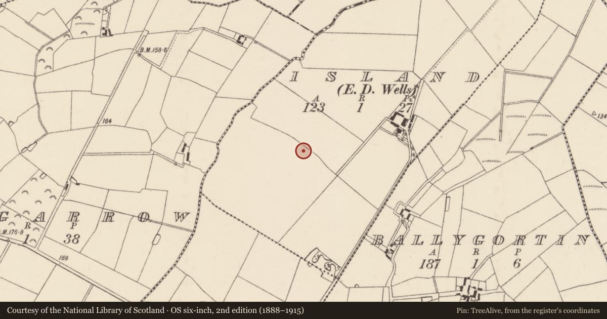 Ordnance Survey six-inch map, 2nd edition (1888–1915) covering the location of Ringfort - rath, Island, County Wexford, with a pin at the register's coordinates