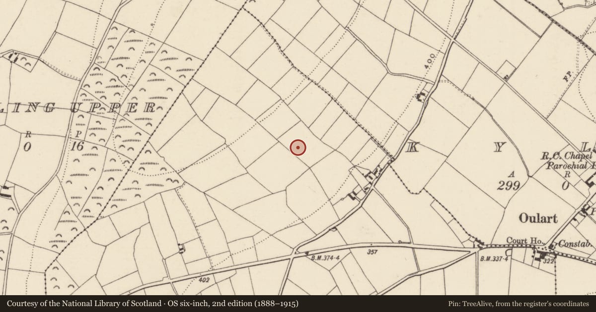 Ordnance Survey six-inch map, 2nd edition (1888–1915) covering the location of Battlefield, County Wexford, with a pin at the register's coordinates