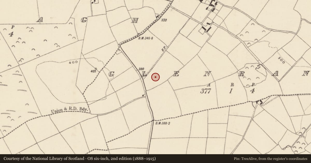 Ordnance Survey six-inch map, 2nd edition (1888–1915) covering the location of Enclosure, Glenranny, County Wexford, with a pin at the register's coordinates